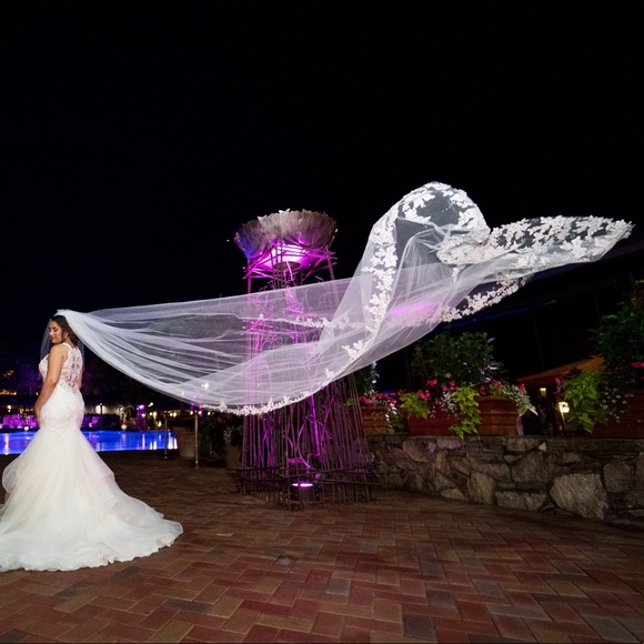 Selling gorgeous veil from boutique de voile. - Picture 5 of 5